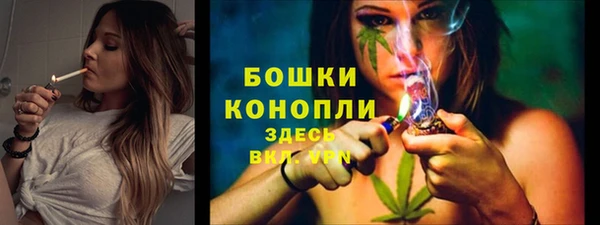 соль ск Елабуга