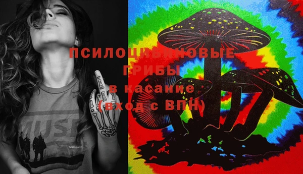 а пвп мука Елизово