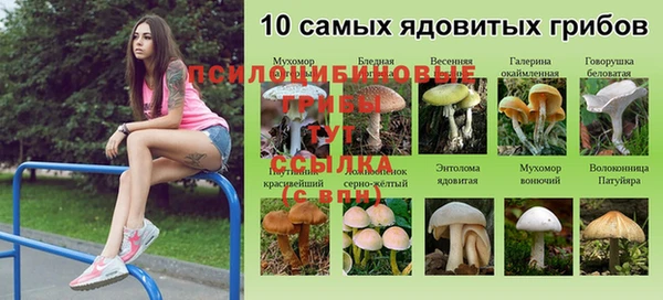 соль ск Елабуга