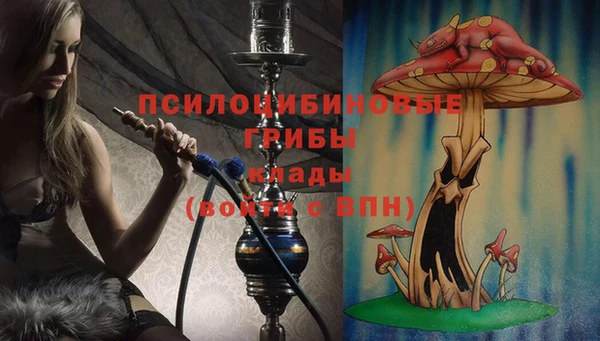 mdma Ельня