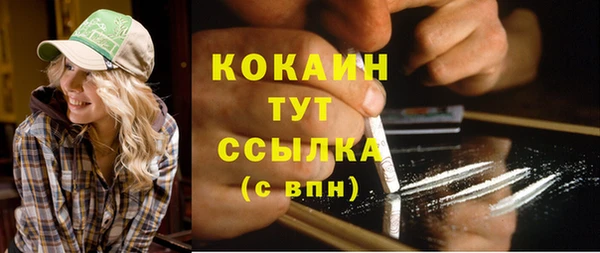 соль ск Елабуга